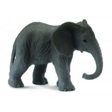 بچه فیل آفریقایی, image 