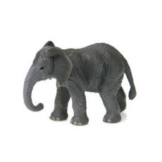 بچه فیل آفریقایی, image 2