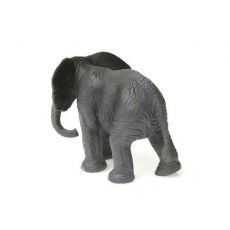 بچه فیل آفریقایی, image 4