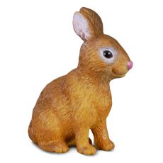 خرگوش, image 