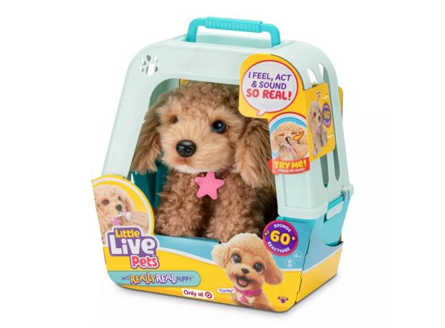 کرلی هاپو کوچولوی Little Live Pets, image 12